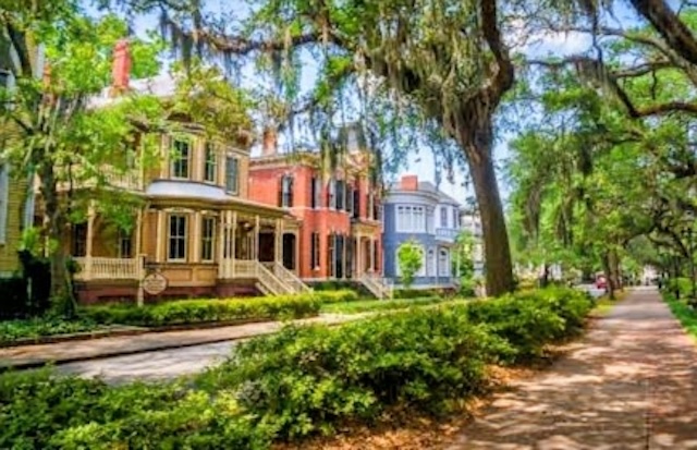 Savannah: A Lady, A Cocktail, and a Mild Identity Crisis